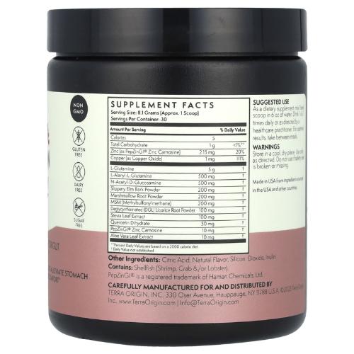 Terra Origin Healthy Gut 243g