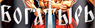 Bogatyr